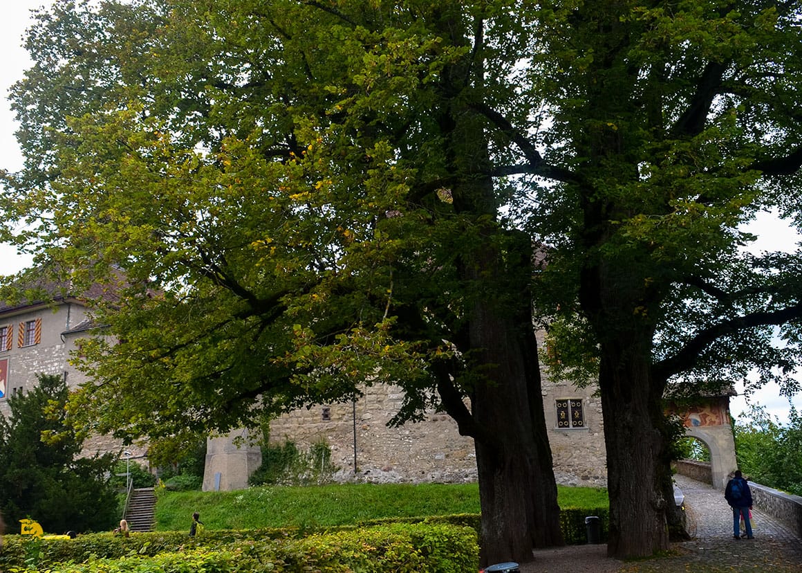 The entry to the castle