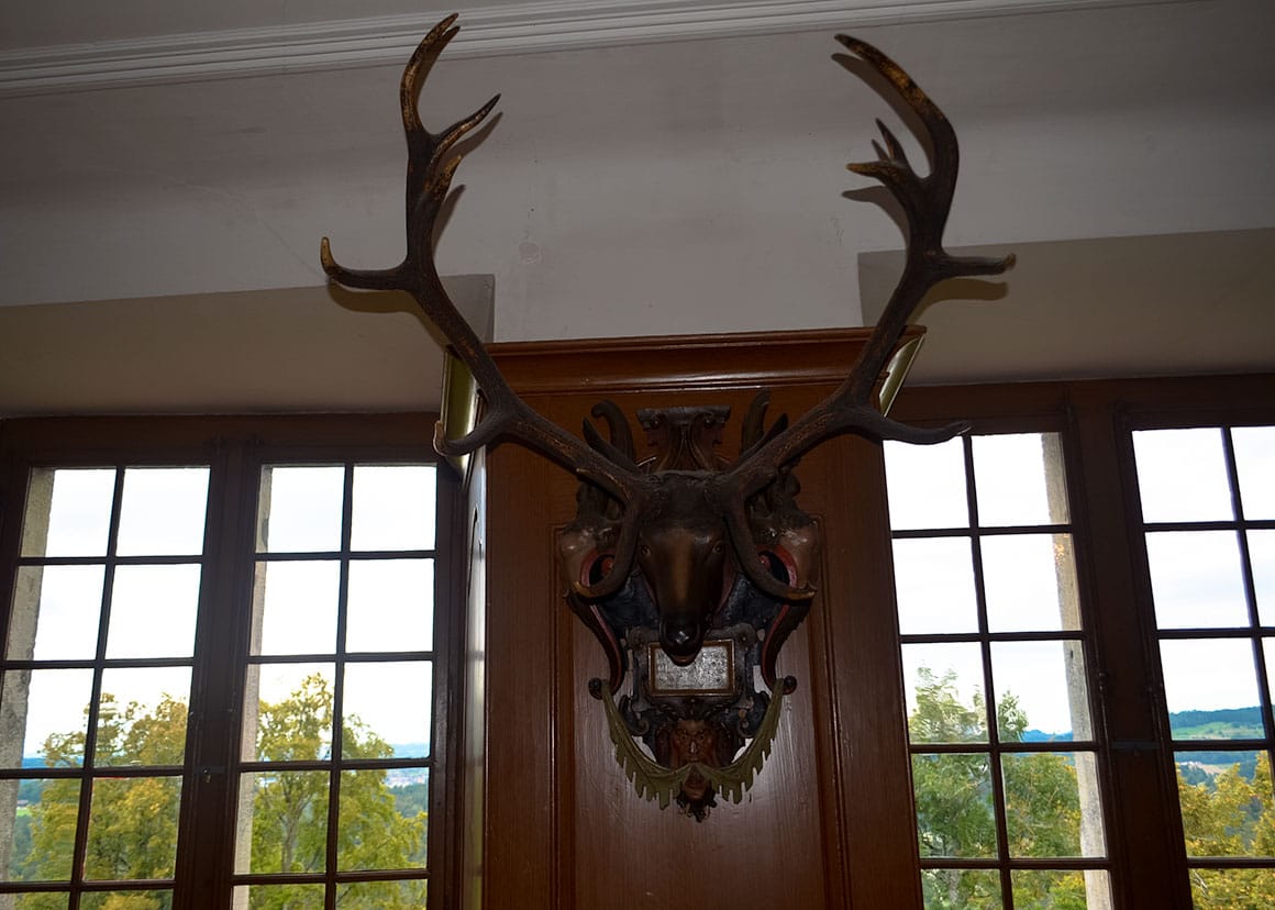 Trophy