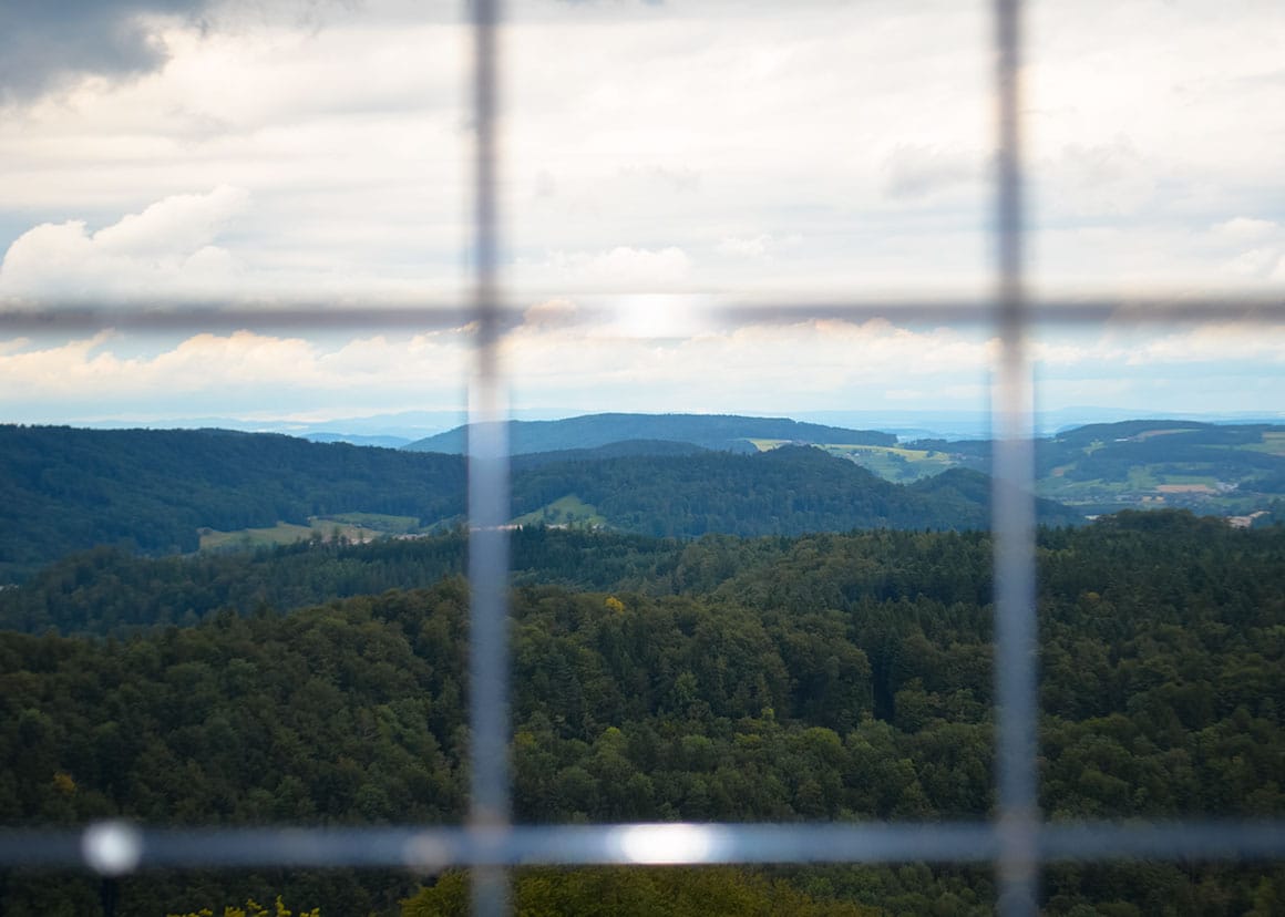 Window with a view